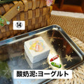 予約品　捏捏博物馆⑭