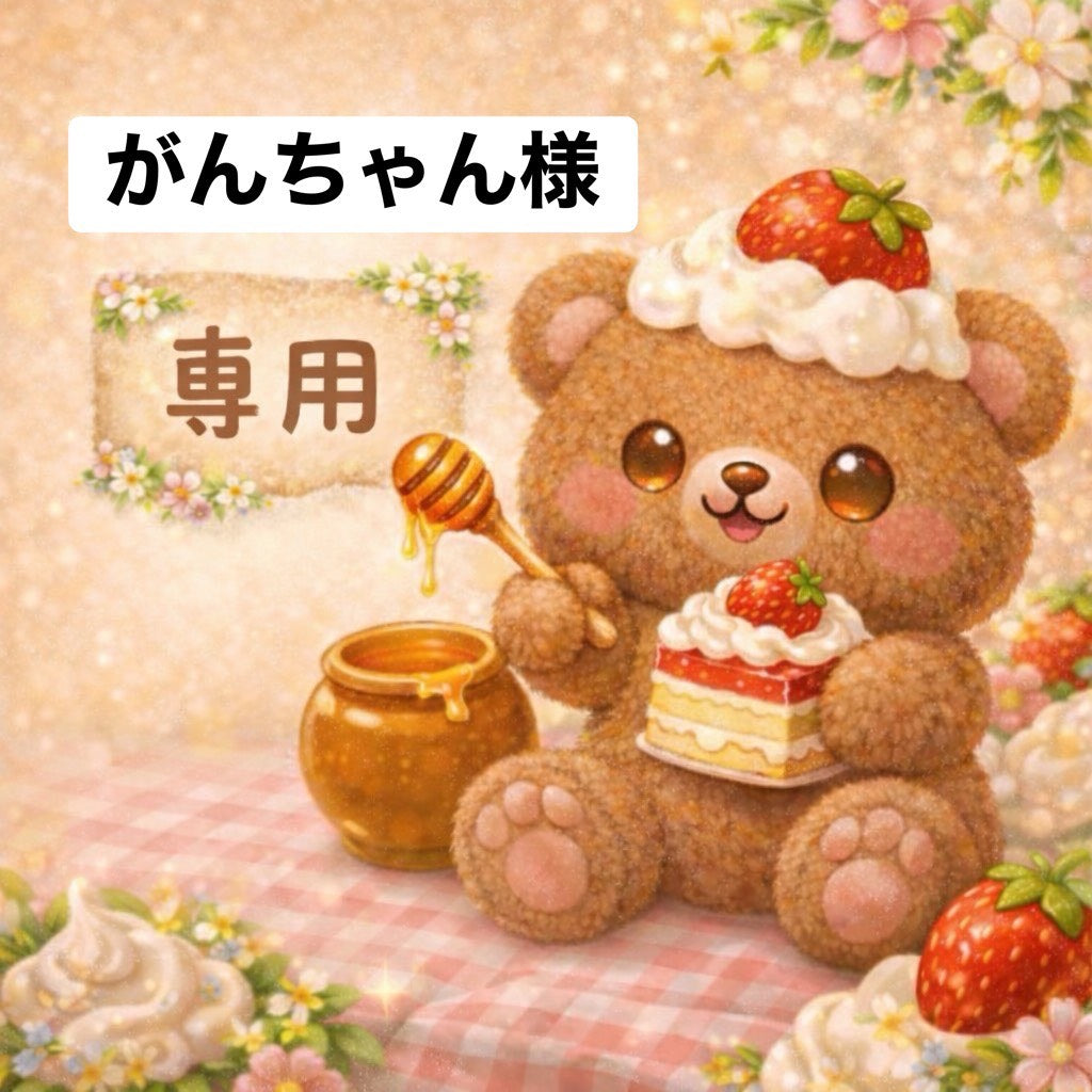 がんちゃん様　6/12ライブ販売